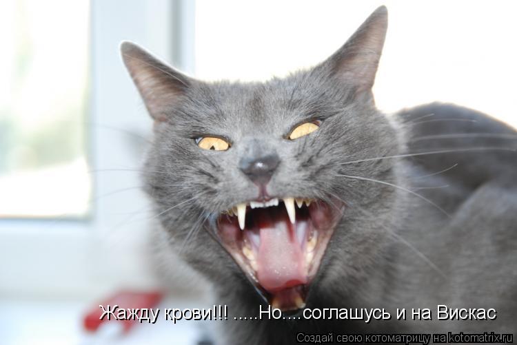 Жажду крови!!! .....Но....соглашусь и на Вискас... Котоматрица: Жажду крови!!! .....Но....соглашусь и на Вискас