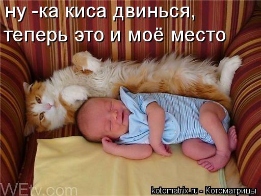 ну -ка киса двинься, теперь это и моё место... Котоматрица: ну -ка киса двинься, теперь это и моё место