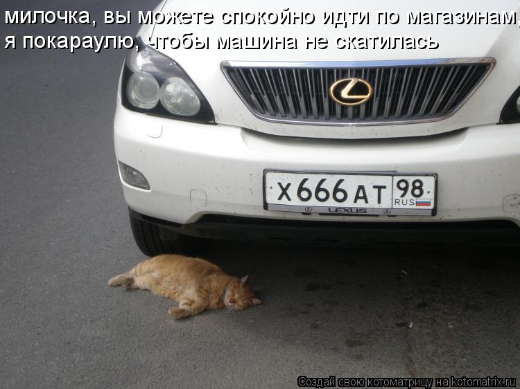 милочка, вы можете спокойно идти по магазинам, я покараулю, чтобы машина не скатилась... Котоматрица: милочка, вы можете спокойно идти по магазинам, я покараулю, чтобы машина не скатилась