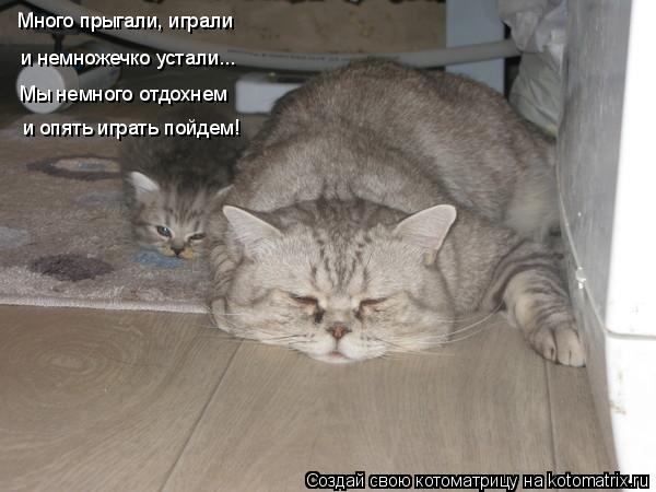 Много прыгали, играли и немножечко устали... Мы немного отдохнем и опять играть пойдем!... Котоматрица: Много прыгали, играли и немножечко устали... Мы немного отдохнем и опять играть пойдем!