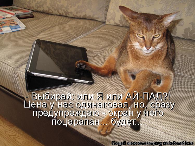 - Выбирай: или Я или АЙ-ПАД?! Цена у нас одинаковая, но, сразу предупреждаю - экран у него поцарапа... Котоматрица: - Выбирай: или Я или АЙ-ПАД?! Цена у нас одинаковая, но, сразу предупреждаю - экран у него поцарапан... будет...