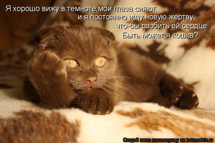 Я хорошо вижу в темноте,мои глаза сияют, и я постоянно ищу новую жертву, что-бы разбить ей сердце. Б... Котоматрица: Я хорошо вижу в темноте,мои глаза сияют, и я постоянно ищу новую жертву, что-бы разбить ей сердце. Быть может я кошка?