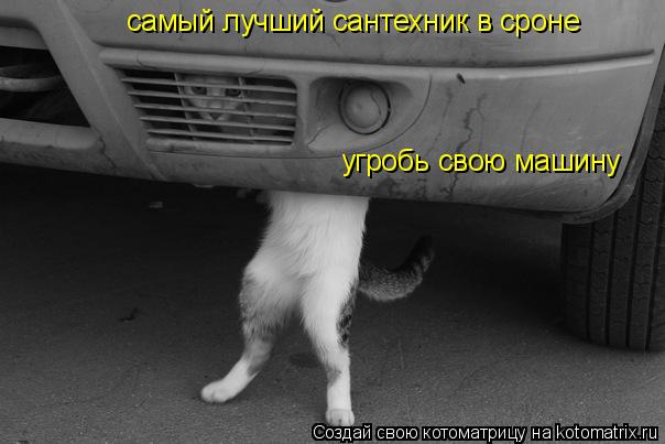 самый лучший сантехник в сроне угробь свою машину... Котоматрица: самый лучший сантехник в сроне угробь свою машину