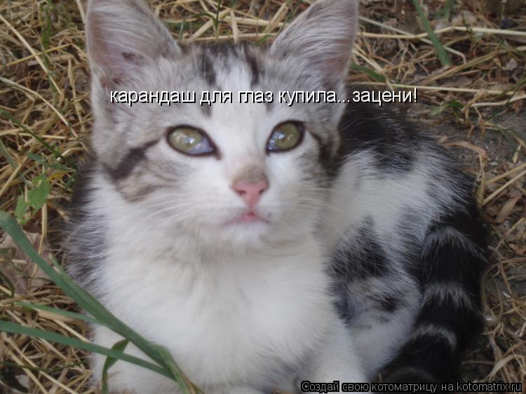 Котоматрица: карандаш для глаз купила...зацени!