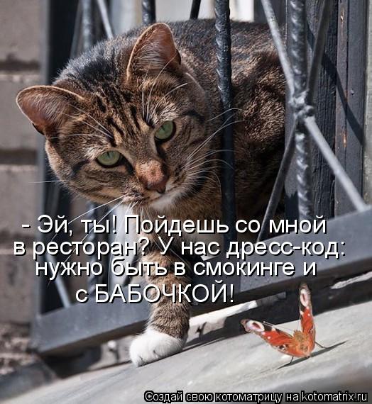 - Эй, ты! Пойдешь со мной в ресторан? У нас дресс-код: нужно быть в смокинге и с БАБОЧКОЙ!... Котоматрица: - Эй, ты! Пойдешь со мной в ресторан? У нас дресс-код: нужно быть в смокинге и с БАБОЧКОЙ!