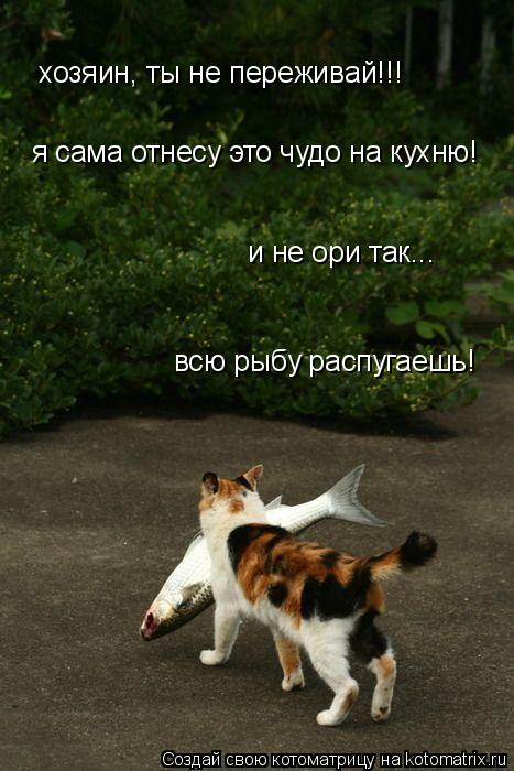 хозяин, ты не переживай!!! и не ори так... всю рыбу распугаешь! я сама отнесу это чудо на кухню!... Котоматрица: хозяин, ты не переживай!!! и не ори так... всю рыбу распугаешь! я сама отнесу это чудо на кухню!