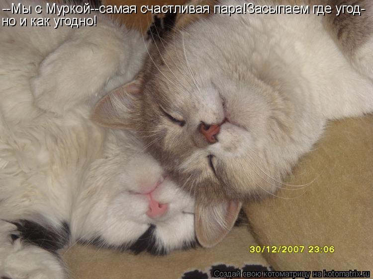 --Мы с Муркой--самая счастливая пара!Засыпаем где угод- но и как угодно!... Котоматрица: --Мы с Муркой--самая счастливая пара!Засыпаем где угод- но и как угодно!