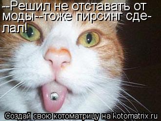 --Решил не отставать от моды--тоже пирсинг сде- лал!... Котоматрица: --Решил не отставать от моды--тоже пирсинг сде- лал!