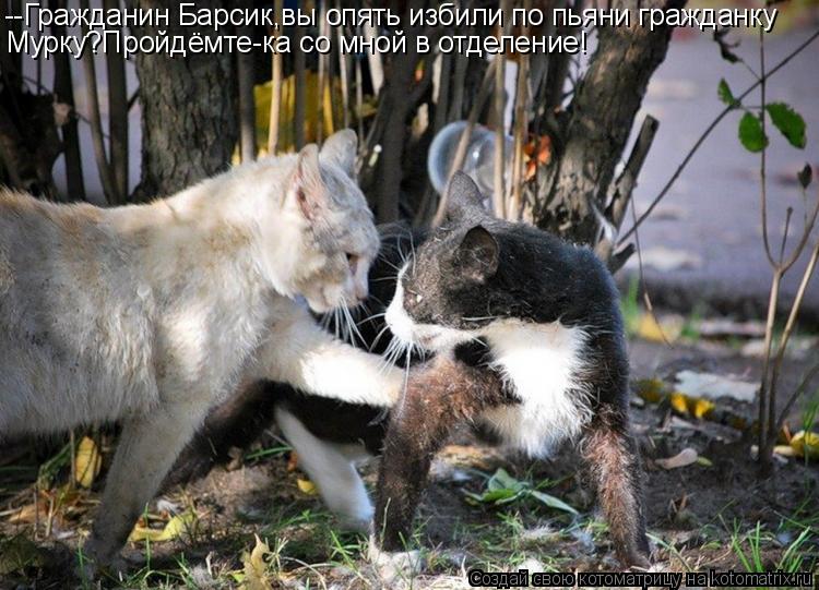 --Гражданин Барсик,вы опять избили по пьяни гражданку Мурку?Пройдёмте-ка со мной в отделение!... Котоматрица: --Гражданин Барсик,вы опять избили по пьяни гражданку Мурку?Пройдёмте-ка со мной в отделение!