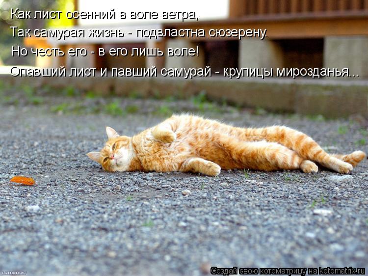 Котоматрица: Как лист осенний в воле ветра, Так самурая жизнь - подвластна сюзерену. Но честь его - в его лишь воле! Опавший лист и павший самурай - крупицы 