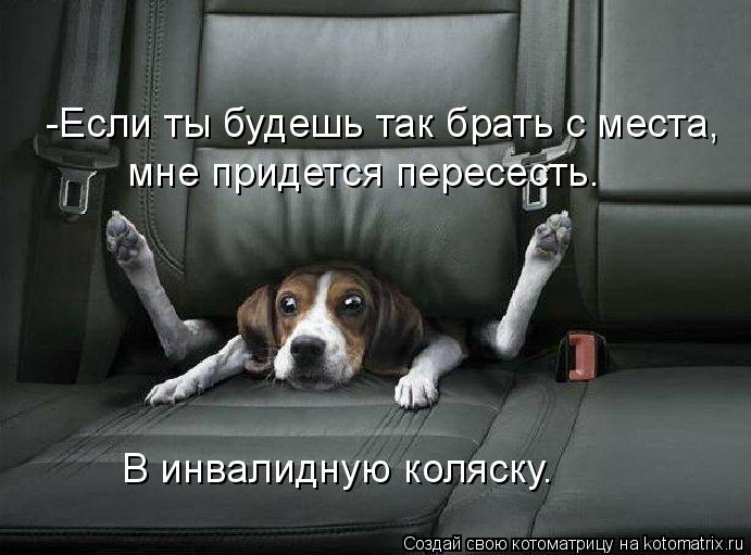 -Если ты будешь так брать с места, мне придется пересесть. В инвалидную коляску.... Котоматрица: -Если ты будешь так брать с места, мне придется пересесть. В инвалидную коляску.
