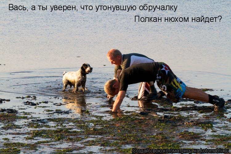 Котоматрица: Вась, а ты уверен, что утонувшую обручалку Полкан нюхом найдет?