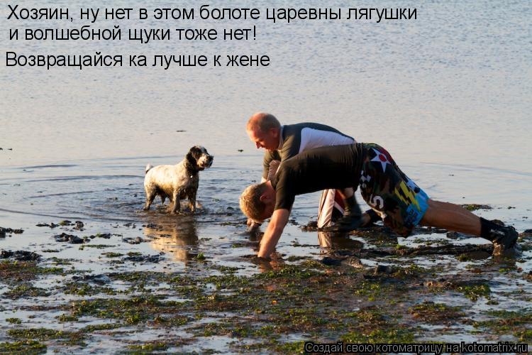 Котоматрица: Хозяин, ну нет в этом болоте царевны лягушки и волшебной щуки тоже нет! Возвращайся ка лучше к жене