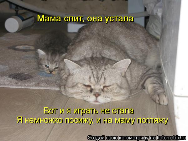 Котоматрица: Мама спит, она устала Я немножко посижу, и на маму погляжу Вот и я играть не стала