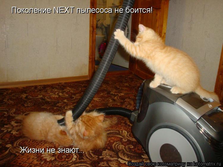 Котоматрица: Поколение NEXT пылесоса не боится! Жизни не знают...