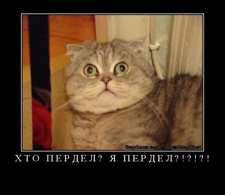 Котоматрица: хто пердел? Я ПЕРДЕЛ?!?!?! 