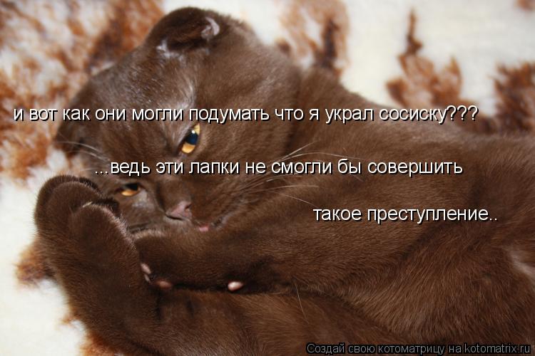Котоматрица: такое преступление.. ...ведь эти лапки не смогли бы совершить и вот как они могли подумать что я украл сосиску???