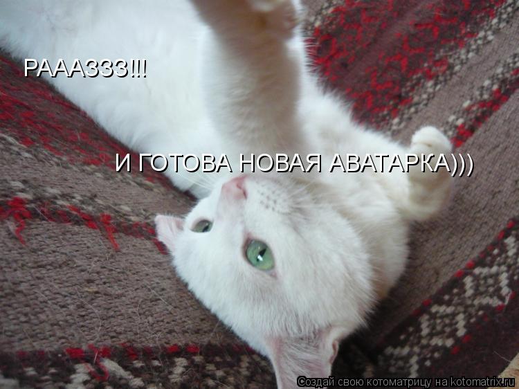 Котоматрица: РАААЗЗЗ!!! И ГОТОВА НОВАЯ АВАТАРКА)))