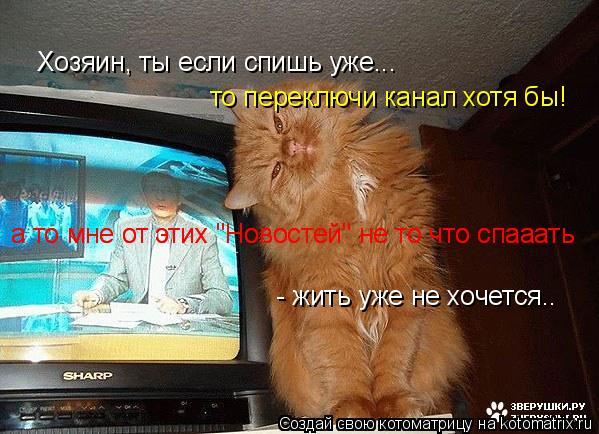 Котоматрица: Хозяин, ты если спишь уже... то переключи канал хотя бы! а то мне от этих "Новостей" не то что спааать а то мне от этих "Новостей" не то что спааа