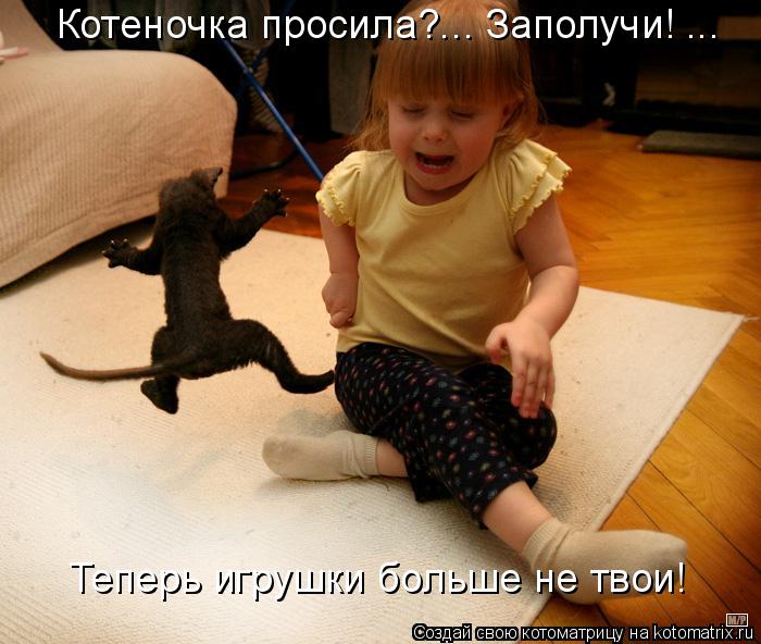 Котоматрица: Котеночка просила?... Заполучи! ... Теперь игрушки больше не твои!