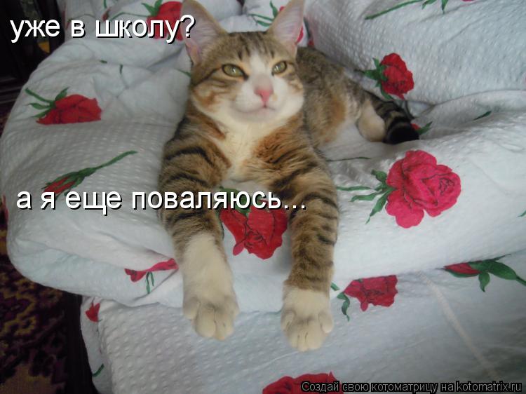 Котоматрица: уже в школу? а я еще поваляюсь...