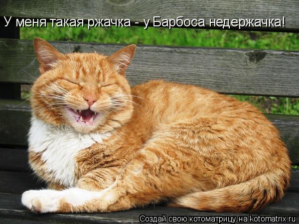 Котоматрица: У меня такая ржачка - у Барбоса недержачка!