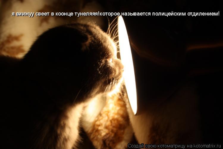 Котоматрица: я виижуу свеет в коонце тунеляяя!которое называется полицейским отдилением!