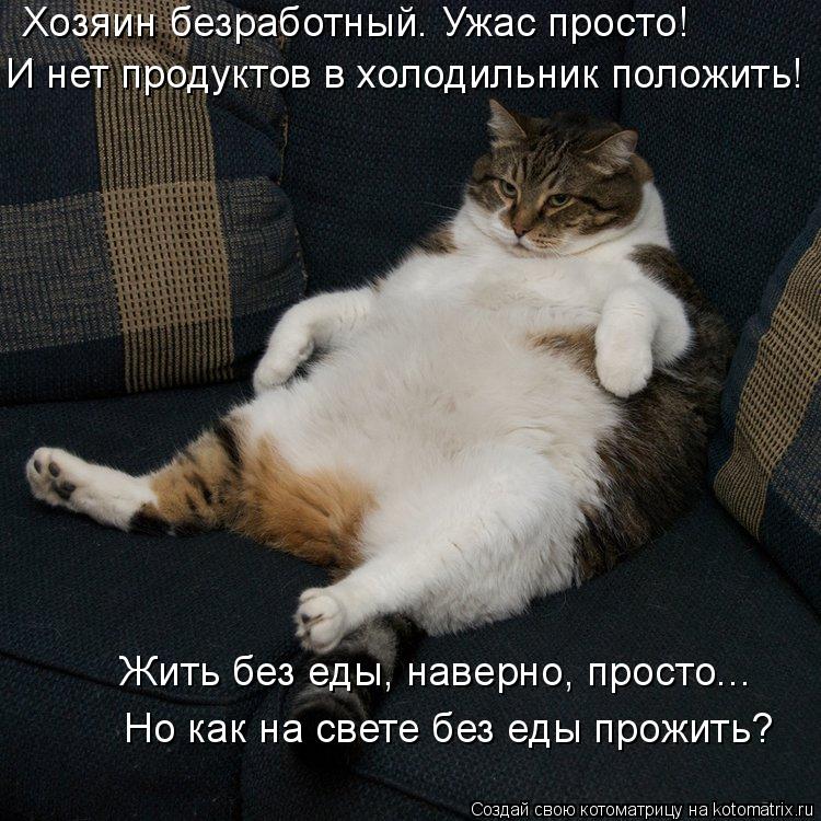 Хозяин безработный. Ужас просто! И нет продуктов в холодильник положить! Жить без еды, наверно, прос... Котоматрица: Хозяин безработный. Ужас просто! И нет продуктов в холодильник положить! Жить без еды, наверно, просто... Но как на свете без еды прожить?