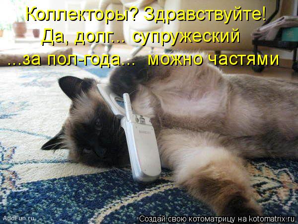 Котоматрица: Коллекторы? Здравствуйте! Да, долг... супружеский ...за пол-года...  можно частями