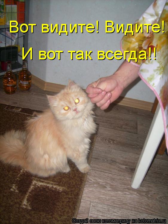 Котоматрица: И вот так всегда!! Вот видите! Видите!
