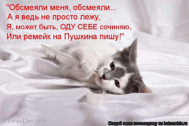 Котоматрица: "Обсмеяли меня, обсмеяли... А я ведь не просто лежу, Я, может быть, ОДУ СЕБЕ сочиняю, Или ремейк на Пушкина пишу!"