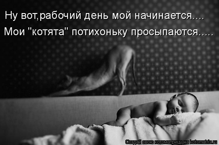 Ну вот,рабочий день мой начинается.... Мои "котята" потихоньку просыпаются........ Котоматрица: Ну вот,рабочий день мой начинается.... Мои "котята" потихоньку просыпаются.....