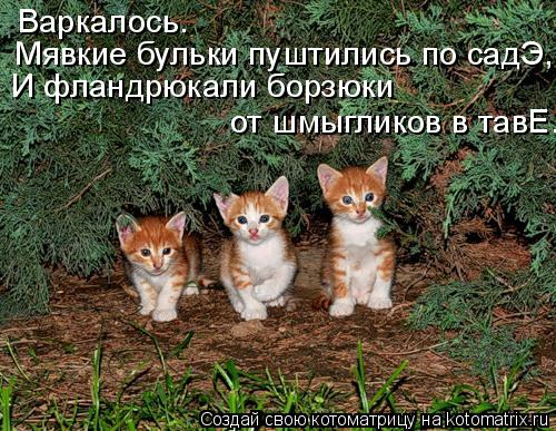 Котоматрица: Варкалось. Мявкие бульки пуштились по садЭ, И фландрюкали борзюки  от шмыгликов в тавЕ.
