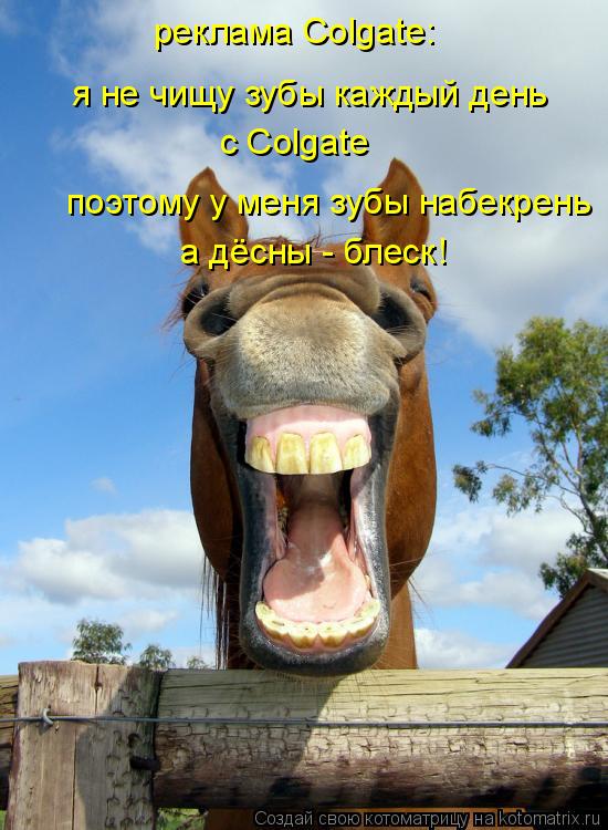 реклама Colgate: я не чищу зубы каждый день с Colgate поэтому у меня зубы набекрень а дёсны - блеск!... Котоматрица: реклама Colgate: я не чищу зубы каждый день с Colgate поэтому у меня зубы набекрень а дёсны - блеск!