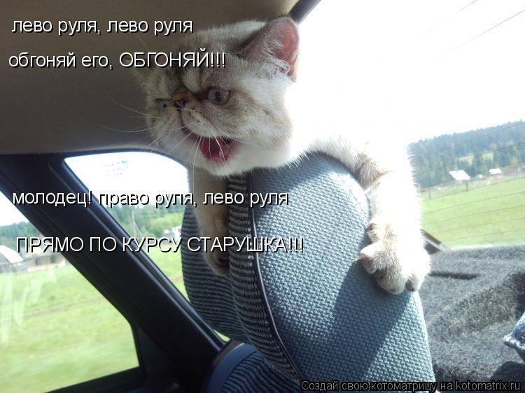 лево руля, лево руля обгоняй его, ОБГОНЯЙ!!! молодец! право руля, лево руля ПРЯМО ПО КУРСУ СТАРУШКА!!... Котоматрица: лево руля, лево руля обгоняй его, ОБГОНЯЙ!!! молодец! право руля, лево руля ПРЯМО ПО КУРСУ СТАРУШКА!!!