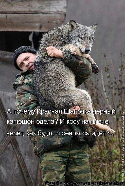 Котоматрица: - А почему Красная Шапочка черный капюшон одела? И косу на плече несёт, как будто с сенокоса идёт?