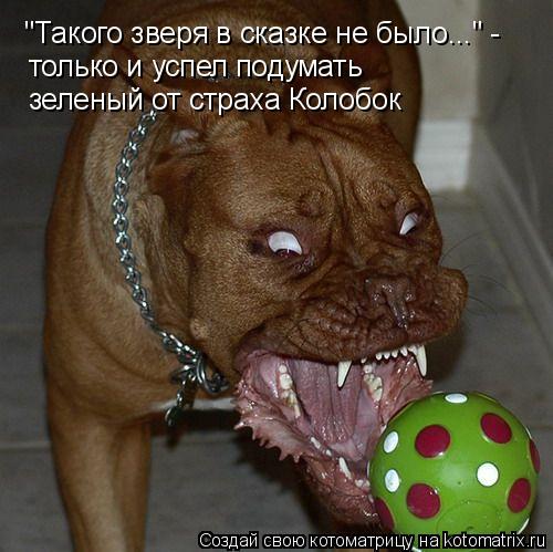 http://kotomatrix.ru/images/lolz/2011/09/02/983550.jpg