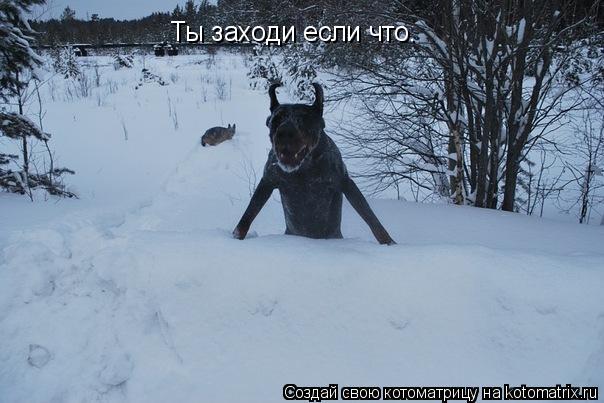 Ты заходи если что.
