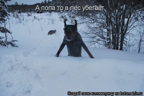 Котоматрица: А попа то в лес убегает.