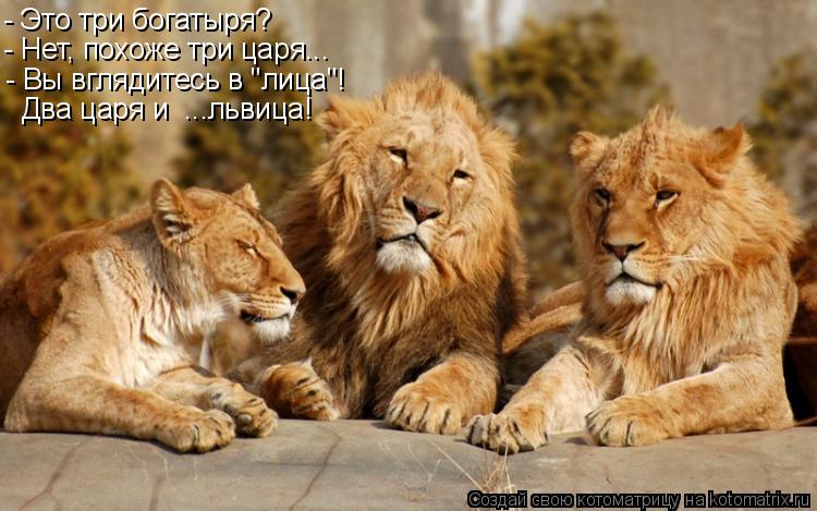 - Это три богатыря? - Нет, похоже три царя... - Вы вглядитесь в "лица"! Два царя и ...львица!... Котоматрица: - Это три богатыря? - Нет, похоже три царя... - Вы вглядитесь в "лица"! Два царя и ...львица!