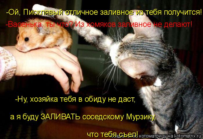 Котоматрица: -Ой, Писклявый отличное заливное из тебя получится! -Васенька, ты что? Из хомяков заливное не делают! -Ну, хозяйка тебя в обиду не даст, а я буд