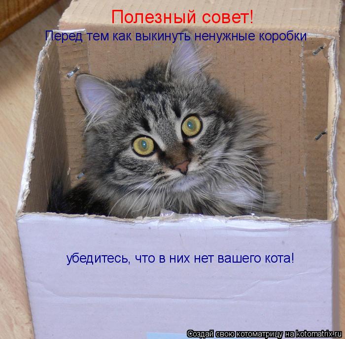 Полезный совет! Перед тем как выкинуть ненужные коробки убедитесь, что в них нет вашего кота!... Котоматрица: Полезный совет! Перед тем как выкинуть ненужные коробки убедитесь, что в них нет вашего кота!