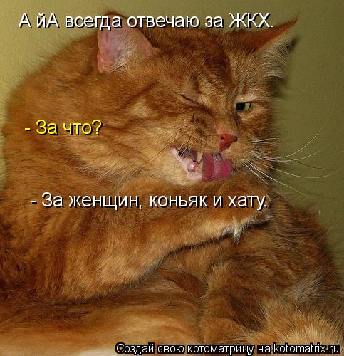 Котоматрица: А йА всегда отвечаю за ЖКХ. - За что? - За женщин, коньяк и хату.