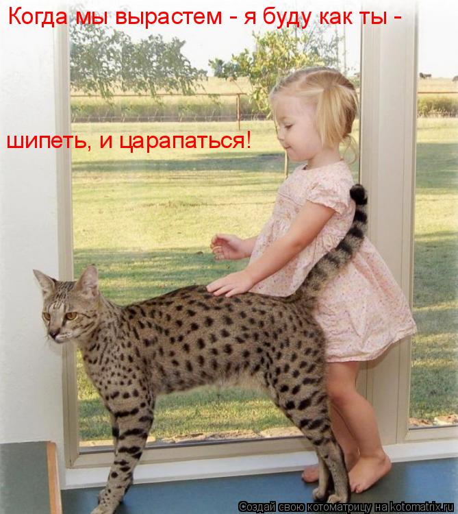 Котоматрица: Когда мы вырастем - я буду как ты - шипеть, и царапаться!