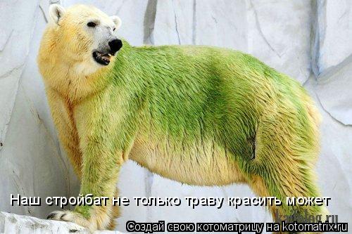 Наш стройбат не только траву красить может... Котоматрица: Наш стройбат не только траву красить может