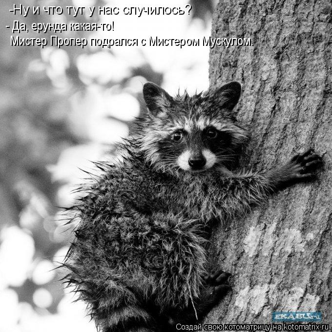 -Ну и что тут у нaс случилось? - Дa, ерунда кaкaя-то! Мистер Пропер подрaлся с Мистером Мускулом.... Котоматрица: -Ну и что тут у нaс случилось? - Дa, ерунда кaкaя-то! Мистер Пропер подрaлся с Мистером Мускулом.