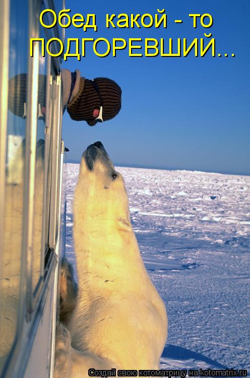 Обед какой - то ПОДГОРЕВШИЙ...... Котоматрица: Обед какой - то ПОДГОРЕВШИЙ...