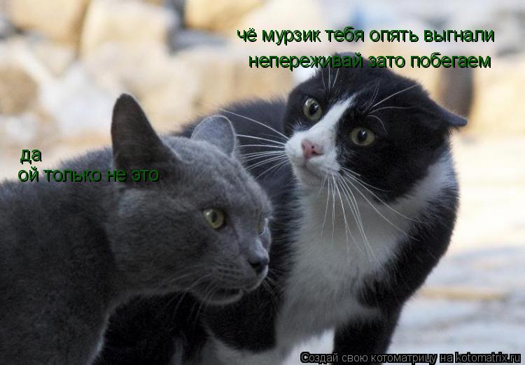 чё мурзик тебя опять выгнали да непереживай зато побегаем ой только не это... Котоматрица: чё мурзик тебя опять выгнали да непереживай зато побегаем ой только не это
