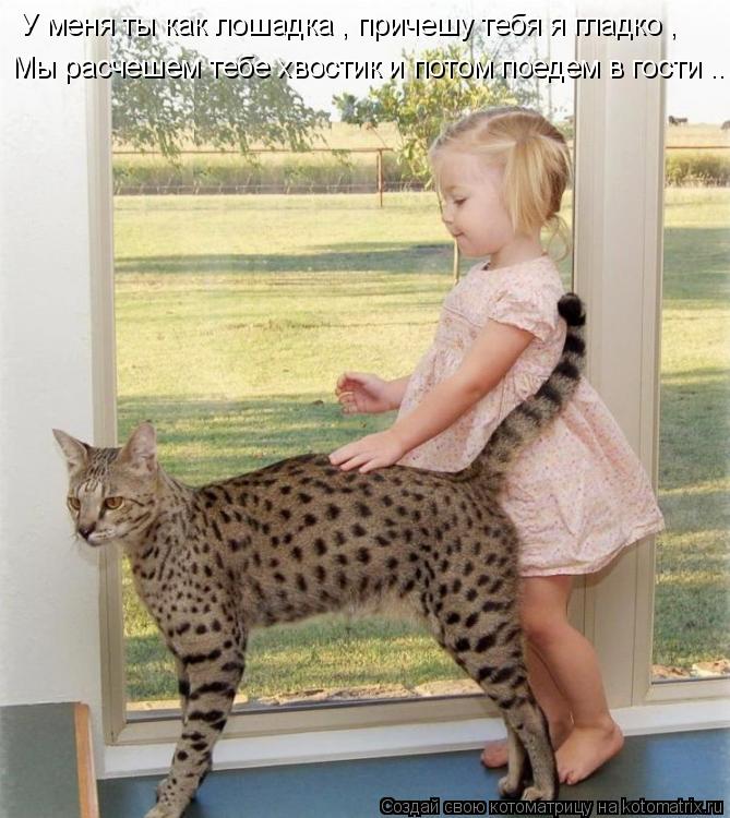 У меня ты как лошадка , причешу тебя я гладко , Мы расчешем тебе хвостик и потом поедем в гости ...... Котоматрица: У меня ты как лошадка , причешу тебя я гладко , Мы расчешем тебе хвостик и потом поедем в гости ...