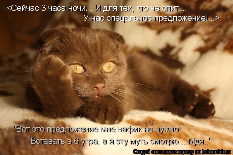 Котоматрица: <Сейчас 3 часа ночи... И для тех, кто не спит....  У нас спецальное предложение!...>   "Вот это предложение мне нафик не нужно..  Вставать в 6 утра, а